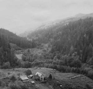 1941 Ten Mile Creek Homestead 