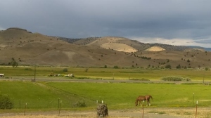 Ranch View